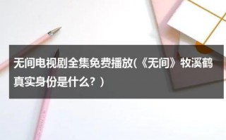 无间电视剧全集免费播放(《无间》牧溪鹤真实身份是什么？)（电视剧无间介绍）
