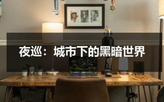 夜巡：城市下的黑暗世界（夜巡岗亭周边安全）