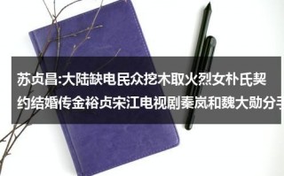 苏贞昌:大陆缺电民众挖木取火烈女朴氏契约结婚传金裕贞宋江电视剧秦岚和魏大勋分手了吗