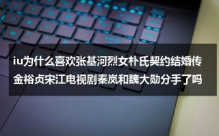 iu为什么喜欢张基河烈女朴氏契约结婚传金裕贞宋江电视剧秦岚和魏大勋分手了吗（iu为什么喜欢中国）