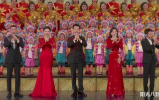 龙年春晚总结：四大惊喜、三大失望、两大意外，沈马组合也不灵了
