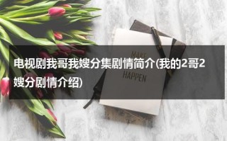 电视剧我哥我嫂分集剧情简介(我的2哥2嫂分剧情介绍)（我哥我嫂电视剧二哥第几集醒的）