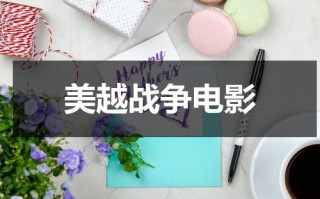 美越战争电影（美越战争电影有哪些）