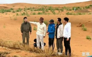 当年《爸爸去哪儿》播出后提高了出生率，现在历史还会重演吗？（爸爸去哪儿1孩子们现状）