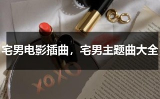 宅男电影插曲，宅男主题曲大全（宅男歌女）