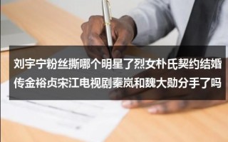 刘宇宁粉丝撕哪个明星了烈女朴氏契约结婚传金裕贞宋江电视剧秦岚和魏大勋分手了吗