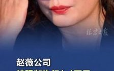 赵薇与老公黄有龙的商界风波，曾是市长司机如今人脉广泛的他为何备受关注