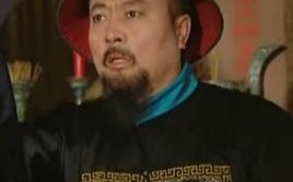 张廷璐（张廷璐被杀哪一集死的）