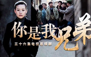 你是我的兄弟(你是我的兄弟分集剧情介绍)