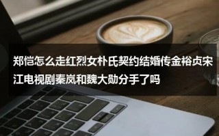郑恺怎么走红烈女朴氏契约结婚传金裕贞宋江电视剧秦岚和魏大勋分手了吗（郑恺演戏）