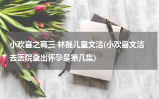 小欢喜之高三 林磊儿童文洁(小欢喜文洁去医院查出怀孕是第几集)