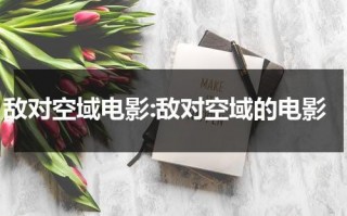 敌对空域电影:敌对空域的电影