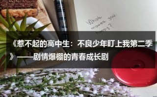 《惹不起的高中生：不良少年盯上我第二季》——剧情爆棚的青春成长剧（不良少年盯上我了演员表）