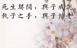 朱丹：从抑郁到幸福，她的人生逆袭之路