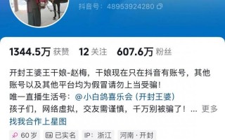 “王婆说媒”能替代非诚勿扰吗？（非诚勿扰唱王妃）