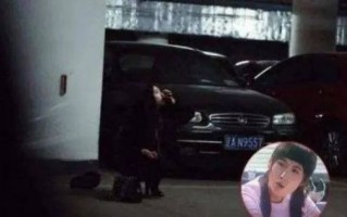 宁丹琳顶替杨紫后的逆境与坚持：演艺路上的挑战与成长