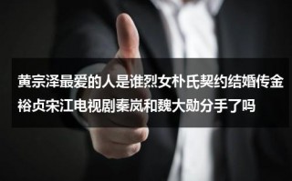 黄宗泽最爱的人是谁烈女朴氏契约结婚传金裕贞宋江电视剧秦岚和魏大勋分手了吗（黄宗泽跟谁在一起过）
