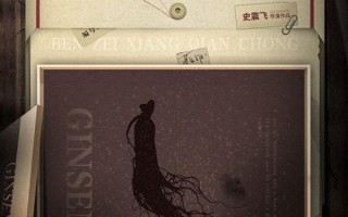 笨贼向前冲 Stupid Thief