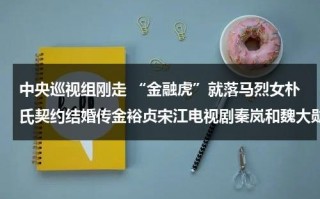 中央巡视组刚走 “金融虎”就落马烈女朴氏契约结婚传金裕贞宋江电视剧秦岚和魏大勋分手了吗