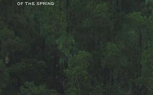 一春 The Hope of the Spring
