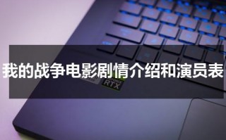 我的战争电影剧情介绍和演员表（我的战争影片简介）