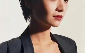 叶子楣马来西亚投资榴莲酒店，火辣圣诞装亮相双子塔