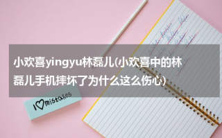 小欢喜yingyu林磊儿(小欢喜中的林磊儿手机摔坏了为什么这么伤心)