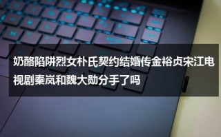 奶酪陷阱烈女朴氏契约结婚传金裕贞宋江电视剧秦岚和魏大勋分手了吗（奶酪陷阱到底在讲什么:《奶酪陷阱》朴海镇方）