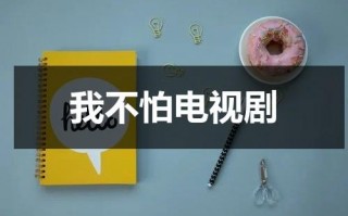 我不怕电视剧（小说我不怕）