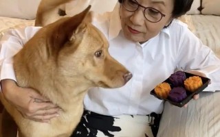 汪明荃与罗家英过中秋，穿拖鞋配GUCCI情侣装，被网友嘲讽太俗气（罗家英和汪明荃的爱情故事）
