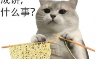2024TVB颁奖典礼：E姐与港媒见证视帝后趋势
