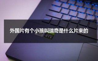 外国片有个小孩叫瑞奇是什么片来的（电影瑞奇小男孩去哪了）