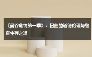 《曼谷危情第一季》：扭曲的道德伦理与警察生存之道（曼谷危情百度云盘）