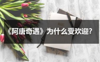 《阿唐奇遇》为什么受欢迎？（《阿唐奇遇》）