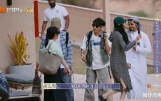 大农化与少年：节目组安排的两个导游，一个太爱表现，一个太爱动嘴