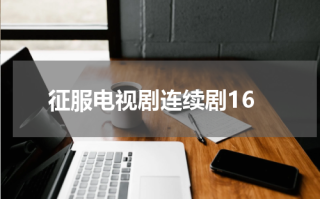 征服电视剧连续剧16
