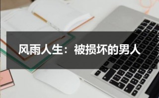 风雨人生：被损坏的男人（被毁了的人生）
