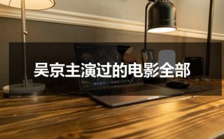 吴京主演过的电影全部
