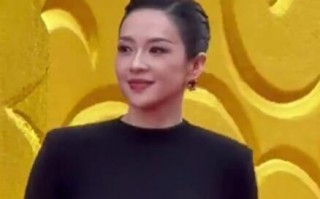 章子怡亮相华表奖红毯 气场全开