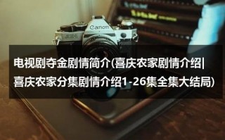 电视剧夺金剧情简介(喜庆农家剧情介绍|喜庆农家分集剧情介绍1-26集全集大结局)（电视连续剧《夺金》）