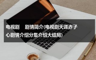 电视剧    剧情简介(电视剧天涯赤子心剧情介绍分集介绍大结局)（电视剧天涯赤子心的演员表）