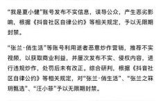 麻六记品牌因抖音封禁面临重大挑战，销售与形象双重受损