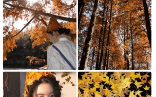 黄杨钿甜时隔六个月更新社交平台 晒自拍状态不错