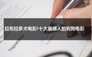 拉布拉多犬电影!十大最感人的狗狗电影（拉布拉多电影叫什么名字）