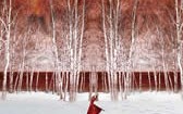 战火中的芭蕾 Ballet in the Flames of War