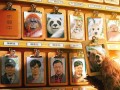 喜剧电影《动物园里有什么？》定档明年 接盘侠包贝尔与奇葩员工自救（动物园里面还有什么动物英语翻译）
