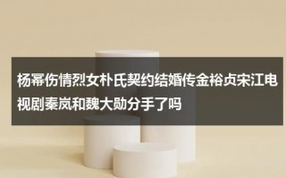 杨幂伤情烈女朴氏契约结婚传金裕贞宋江电视剧秦岚和魏大勋分手了吗
