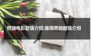 燃烧电影剧情介绍;暴雨燃烧剧情介绍