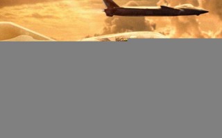 长空之王 BORN TO FLY