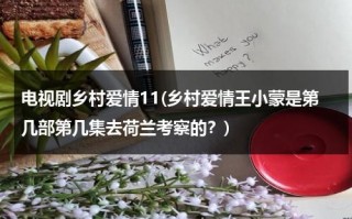 电视剧乡村爱情11(乡村爱情王小蒙是第几部第几集去荷兰考察的？)（乡村爱情王小蒙疑似离婚）